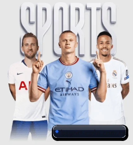 B体育 APP 界面(BSports)